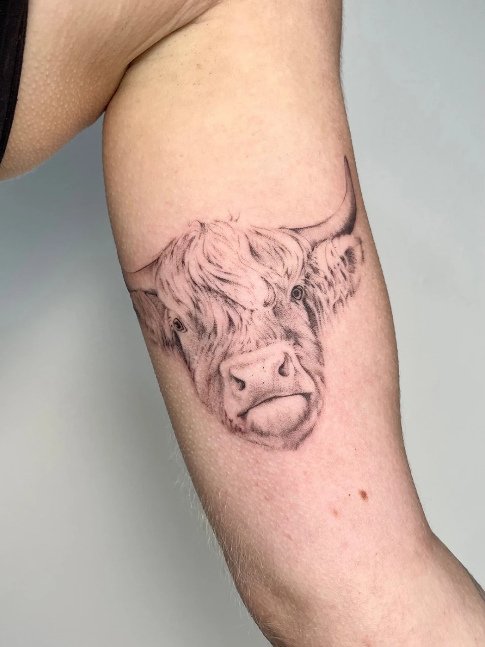 bull fine line tattoo on thigh